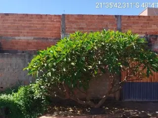 Imagem do imóvel CA23308